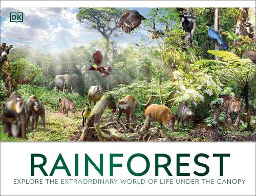 [object Object] «Rainforest», автор DK (Dorling Kindersley) - фото №1