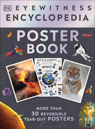 Бумажная книга «Eyewitness Encyclopedia Poster Book: More Than 30 Reversible Tear-Out Posters», автор DK (Dorling Kindersley) - фото №1