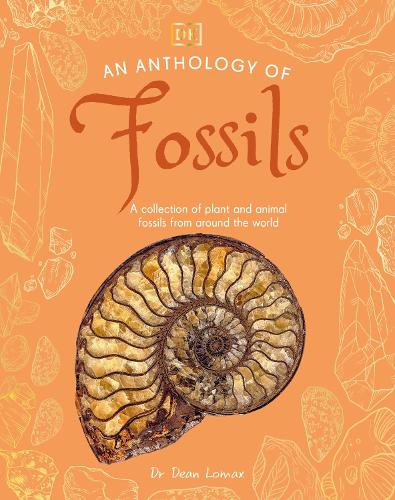 Паперова книга «An Anthology of Fossils: A Collection of Plant and Animal Fossils From Around the World», автор Дін Ломакс - фото №1