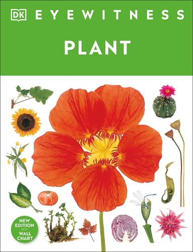 Бумажная книга «Eyewitness Plant», автор DK (Dorling Kindersley) - фото №1