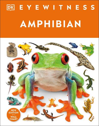 Паперова книга «Eyewitness Amphibian», автор DK (Dorling Kindersley) - фото №1