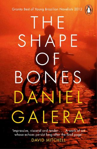 Паперова книга «The Shape of Bones», автор Даніел Галера - фото №1