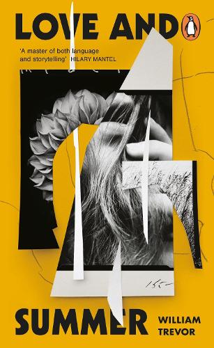 Паперова книга «Love and Summer», автор Вільям Тревор - фото №1