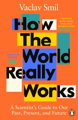 [object Object] «How the World Really Works: A Scientist’s Guide to Our Past, Present and Future», автор Вацлав Смил - фото №1