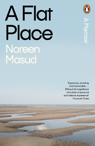 Бумажная книга «A Flat Place», автор Норин Масуд - фото №1
