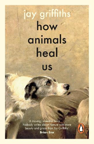 Паперова книга «How Animals Heal Us», автор Джей Гріффітс - фото №1