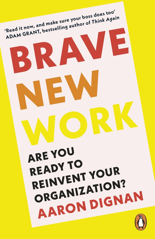 Паперова книга «Brave New Work: Are You Ready to Reinvent Your Organization?», автор Аарон Діньян - фото №1