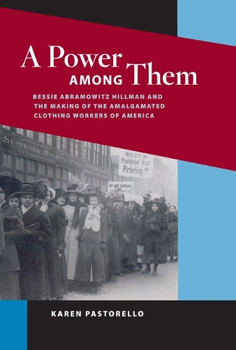 Бумажная книга «A Power among Them: Bessie Abramowitz Hillman and the Making of the Amalgamated Clothing Workers of America», автор Карен Пасторелло - фото №1