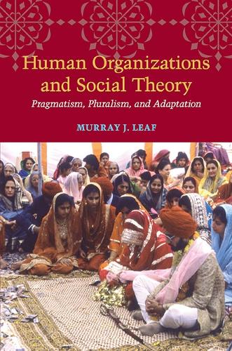 Паперова книга «Human Organizations and Social Theory: Pragmatism, Pluralism, and Adaptation», автор Мюррей Дж. Ліф - фото №1