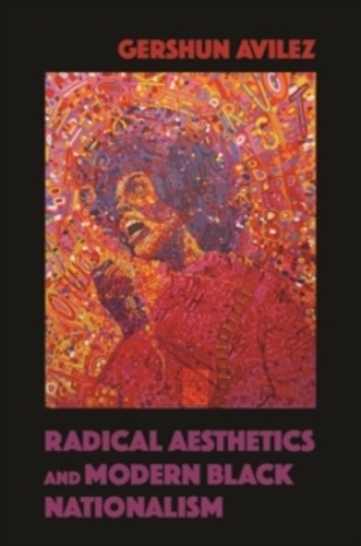 Паперова книга «Radical Aesthetics and Modern Black Nationalism», автор Гершун Авілез - фото №1