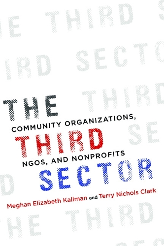 Бумажная книга «The Third Sector: Community Organizations, NGOs, and Nonprofits», авторов Меган Каллман, Терри Кларк - фото №1
