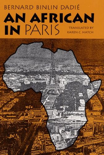 Паперова книга «An African in Paris», автор Бернар Даді - фото №1