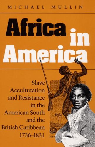 Paper book «Africa in America: Slave Acculturation and Resistance in the American South and the British Caribbean, 1736-1831», author Michael Mullin - фото №1