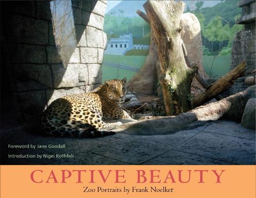 Бумажная книга «Captive Beauty», автор Франк Ноэлькер - фото №1