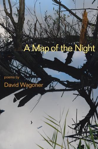 Бумажная книга «A Map of the Night», автор Дэвид Вагонер - фото №1