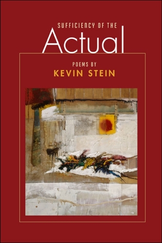 Бумажная книга «Sufficiency of the Actual», автор Кевин Стайн - фото №1