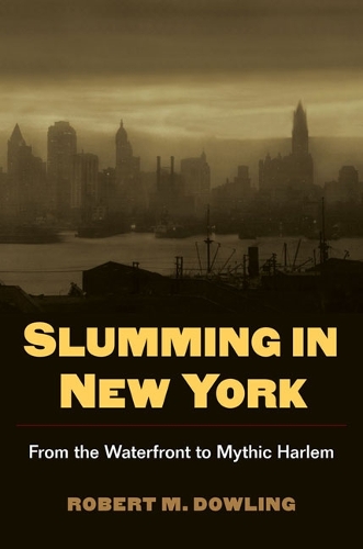Бумажная книга «Slumming in New York: From the Waterfront to Mythic Harlem», автор Роберт Даулинг - фото №1