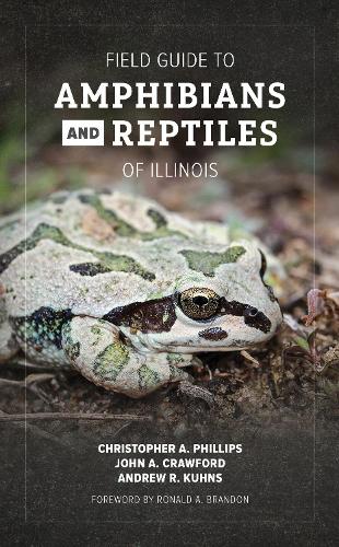 Бумажная книга «Field Guide to Amphibians and Reptiles of Illinois», авторов Эндрю Р. Кунс, Кристофер А. Филлипс, Джон А. Кроуфорд - фото №1