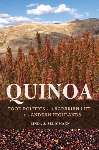 Бумажная книга «Quinoa: Food Politics and Agrarian Life in the Andean Highlands», автор Линда Дж. Селигманн - фото №1