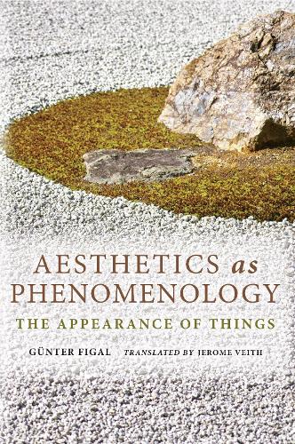 Бумажная книга «Aesthetics as Phenomenology: The Appearance of Things», автор Гюнтер Фигаль - фото №1