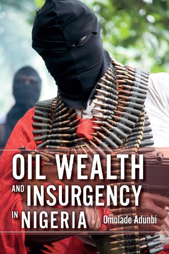 Бумажная книга «Oil Wealth and Insurgency in Nigeria», автор Омоладе Адунби - фото №1