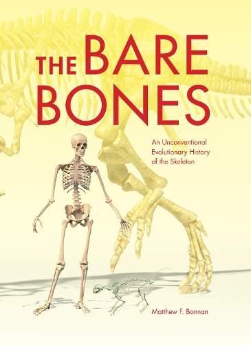 [object Object] «The Bare Bones: An Unconventional Evolutionary History of the Skeleton», автор Мэтью Ф. Боннан - фото №1