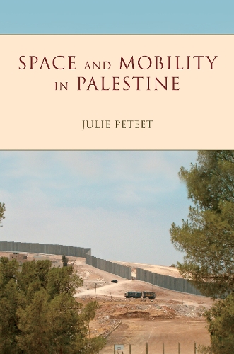 Бумажная книга «Space and Mobility in Palestine», автор Джули Пит - фото №1