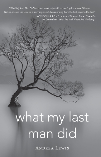 Бумажная книга «What My Last Man Did», автор Андреа Льюис - фото №1