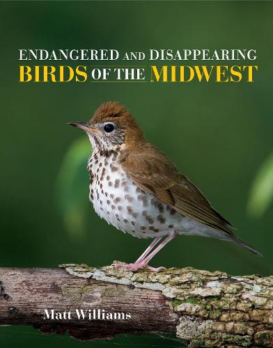 Паперова книга «Endangered and Disappearing Birds of the Midwest», автор Метт Вільямс - фото №1