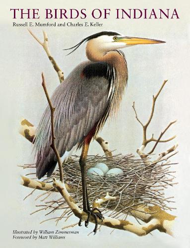 Паперова книга «The Birds of Indiana», авторів Чарльз Е. Келлер, Рассел Е. Мамфорд - фото №1