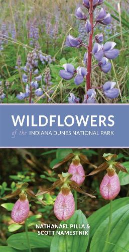 Паперова книга «Wildflowers of the Indiana Dunes National Park», авторів Натаніель Пілла, Скотт Наместник - фото №1