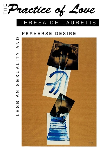 Бумажная книга «The Practice of Love: Lesbian Sexuality and Perverse Desire», автор Тереза де Лауретис - фото №1