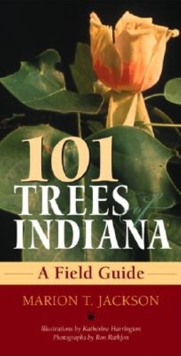 Бумажная книга «101 Trees of Indiana: A Field Guide», авторов Кэтрин Харрингтон, Марион Т. Джексон - фото №1