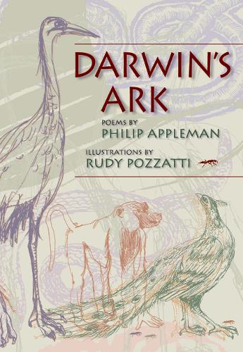 Паперова книга «Darwin's Ark», авторів Філіп Епплман, Руді Поццатті - фото №1