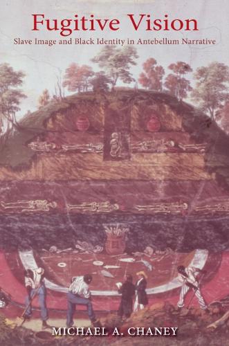 Бумажная книга «Fugitive Vision: Slave Image and Black Identity in Antebellum Narrative», автор Майкл А. Чейни - фото №1