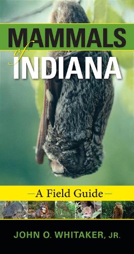 Бумажная книга «Mammals of Indiana: A Field Guide», автор Джон О. Витакер-младший - фото №1