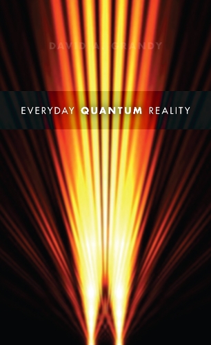 Бумажная книга «Everyday Quantum Reality», автор Дэвид А. Гранди - фото №1
