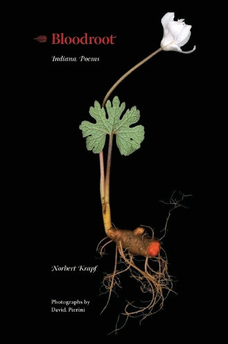 Бумажная книга «Bloodroot: Indiana Poems», автор Норберт Крапф - фото №1