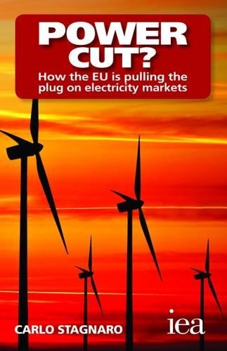 Бумажная книга «Power Cut?: How the EU is pulling the plug on electricity markets», автор Карло Станьяро - фото №1