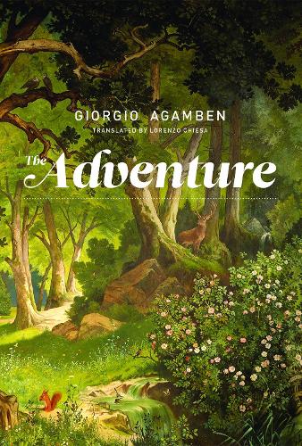 Бумажная книга «The Adventure», автор Джорджо Агамбен - фото №1