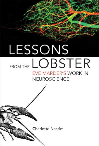 Бумажная книга «Lessons from the Lobster: Eve Marder's Work in Neuroscience», автор Шарлотта Нассим - фото №1