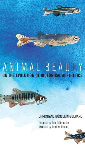 Бумажная книга «Animal Beauty: On the Evolution of Biological Aesthetics», автор Кристиана Нюсляйн-Вольгард - фото №1