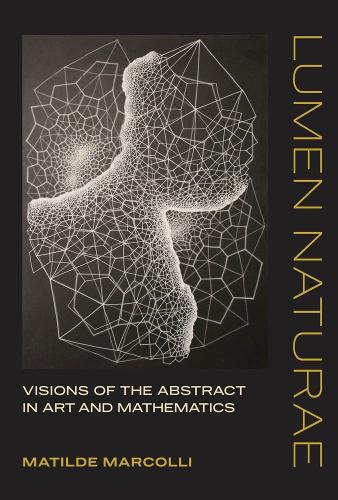 [object Object] «Lumen Naturae: Visions of the Abstract in Art and Mathematics», автор Матильда Марколлі - фото №1
