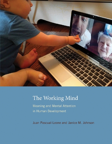 Бумажная книга «The Working Mind: Meaning and Mental Attention in Human Development», авторов Дженис М. Джонсон, Хуан Паскуаль-Леоне - фото №1
