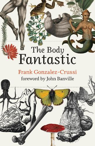 Бумажная книга «The Body Fantastic», авторов Фрэнк Гонсалес-Крусси, Джон Банвилл - фото №1