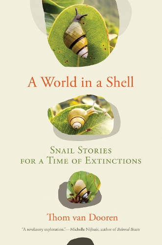 Бумажная книга «A World in a Shell: Snail Stories for a Time of Extinctions», автор Том Ван Дурен - фото №1