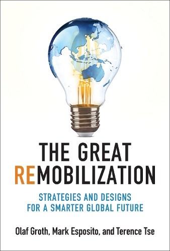 Паперова книга «The Great Remobilization: Strategies and Designs for a Smarter Global Future», автор Олаф Грот - фото №1
