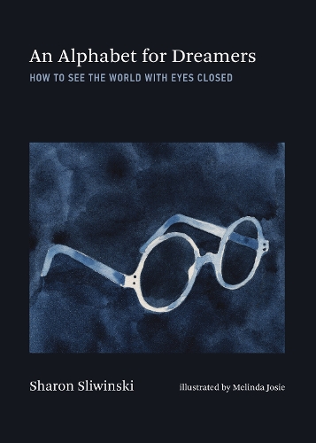 Бумажная книга «Alphabet for Dreamers, An: How to See the World with Eyes Closed», авторов Мелинда Джози, Шэрон Сливински - фото №1