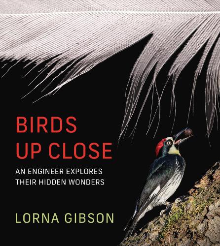 Бумажная книга «Birds Up Close: An Engineer Explores Their Hidden Wonders», автор Лорна Гибсон - фото №1
