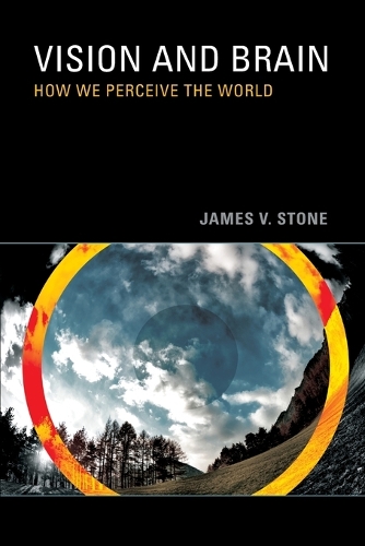Паперова книга «Vision and Brain: How We Perceive the World», автор Джеймс В. Стоун - фото №1